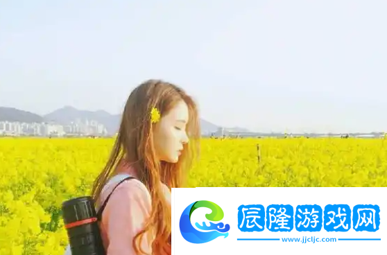 俱樂部輪換游戲2：使用體驗(yàn)與安全隱患的雙重考量