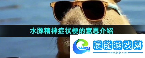 抖音水豚精神癥狀是什么梗